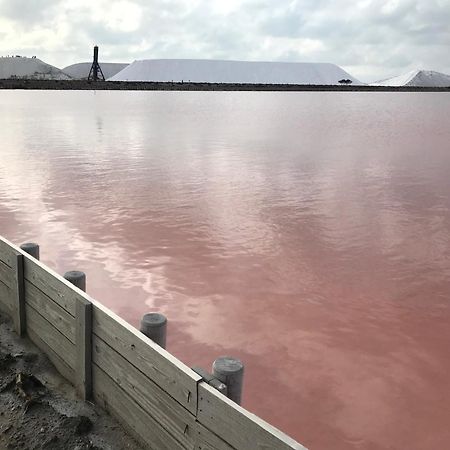 Le Clos Des Vignes Junas Kültér fotó
