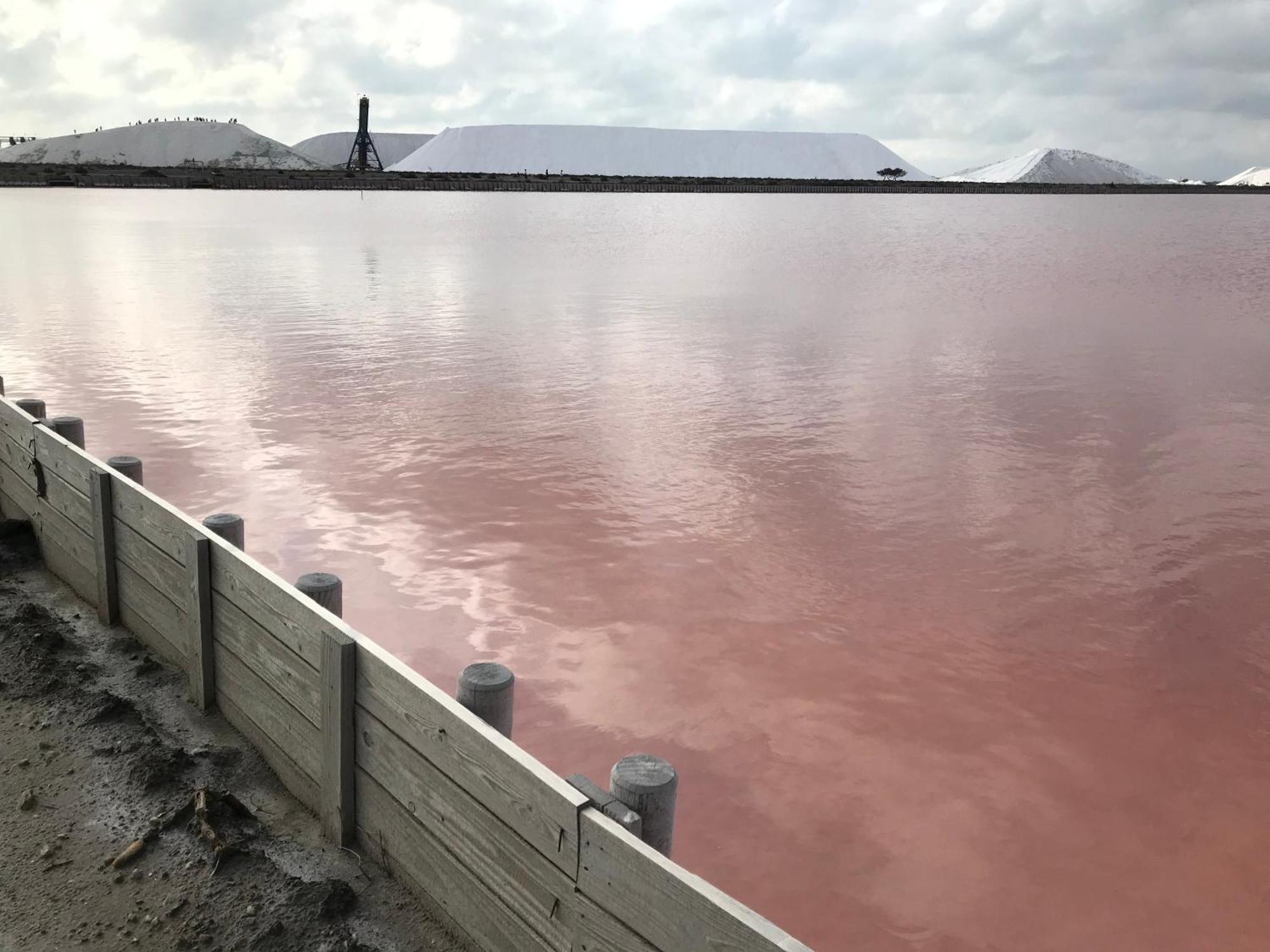 Le Clos Des Vignes Junas Kültér fotó